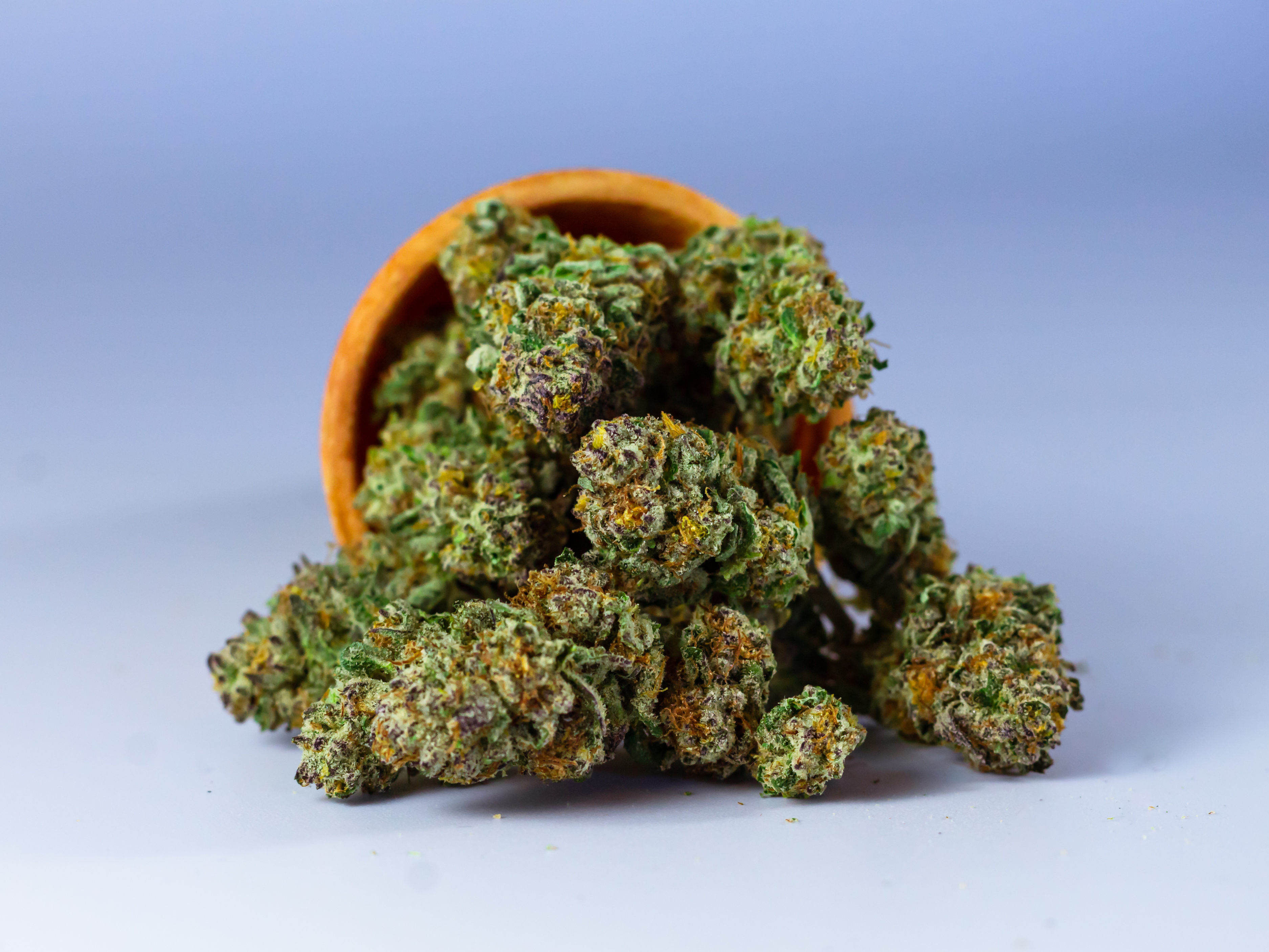 Premium Flower